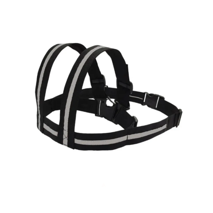 LilRider Safety Belt